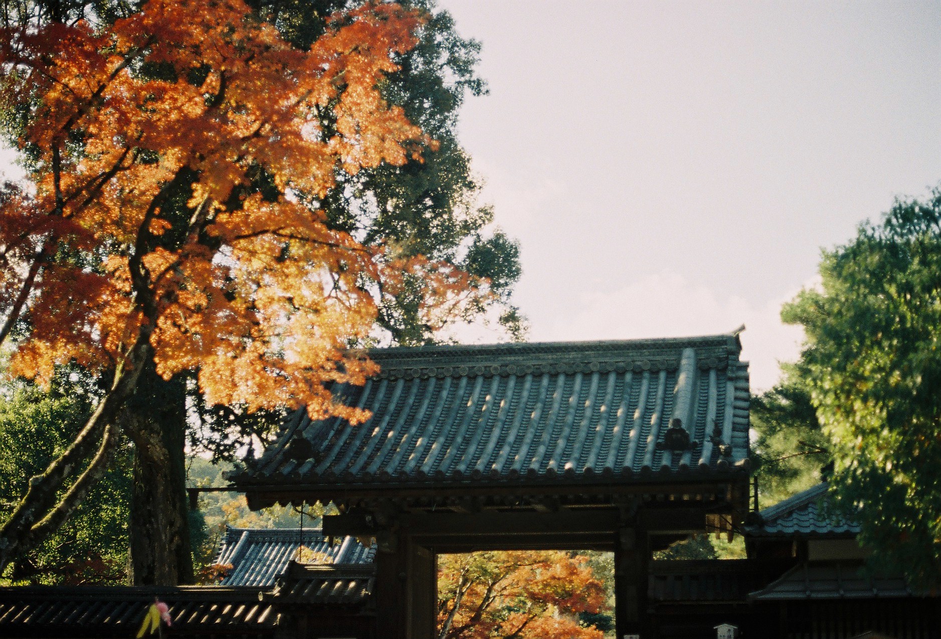 京都