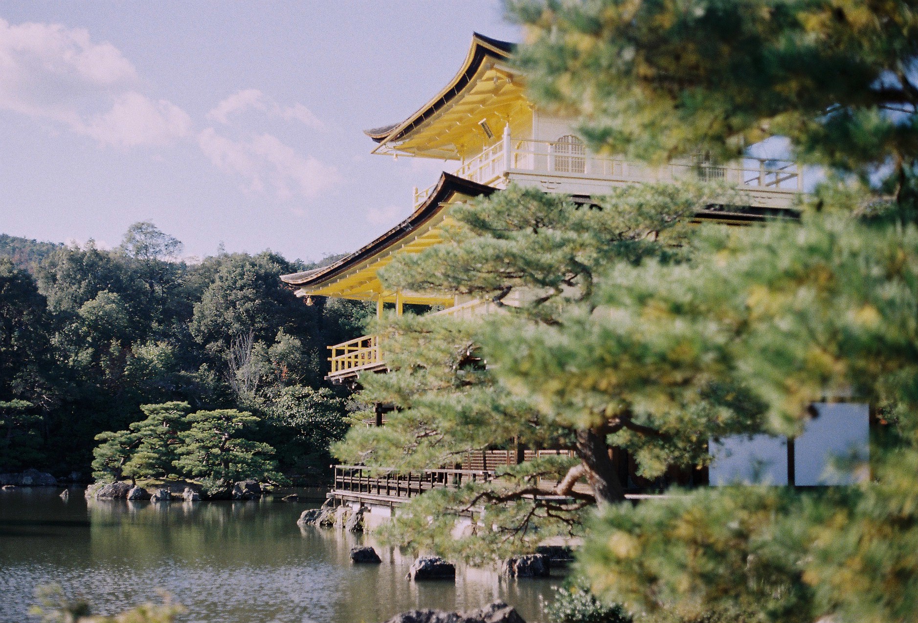 松と金閣