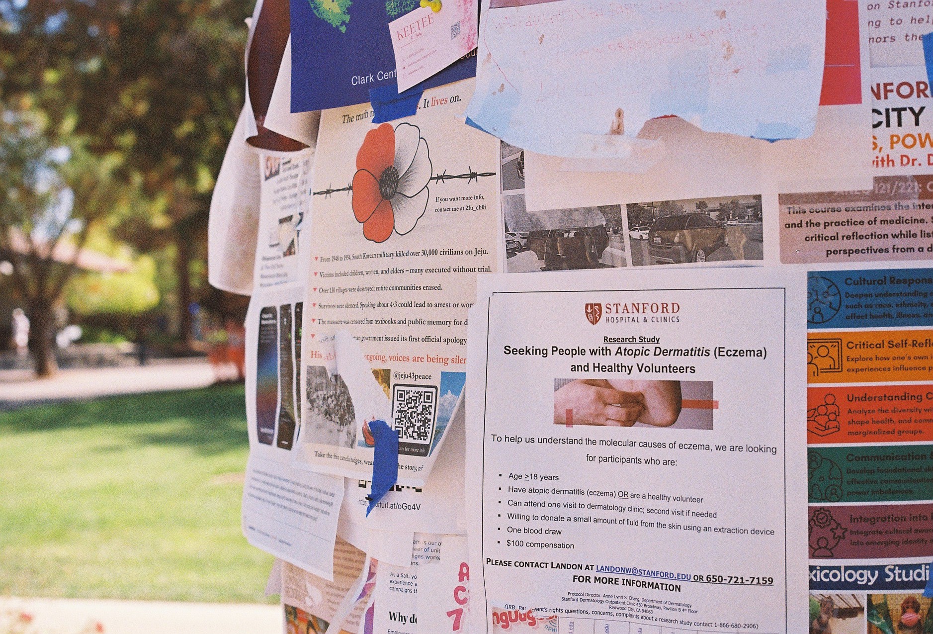 In Stanford University